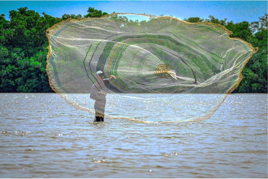 Second Responsive Image