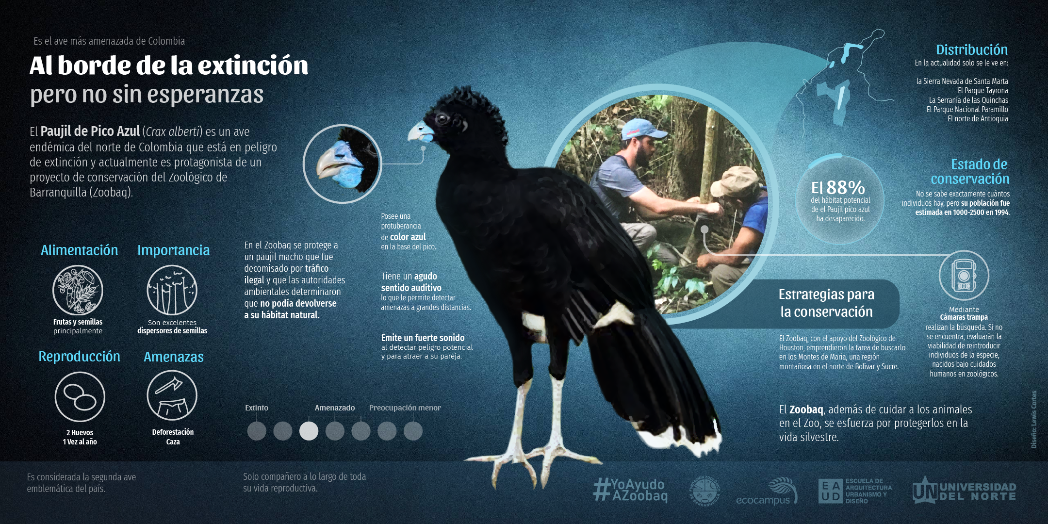 Responsive Image