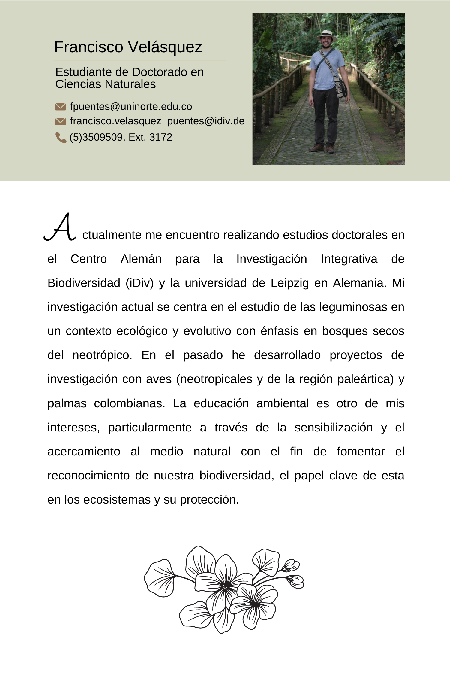 Responsive Image