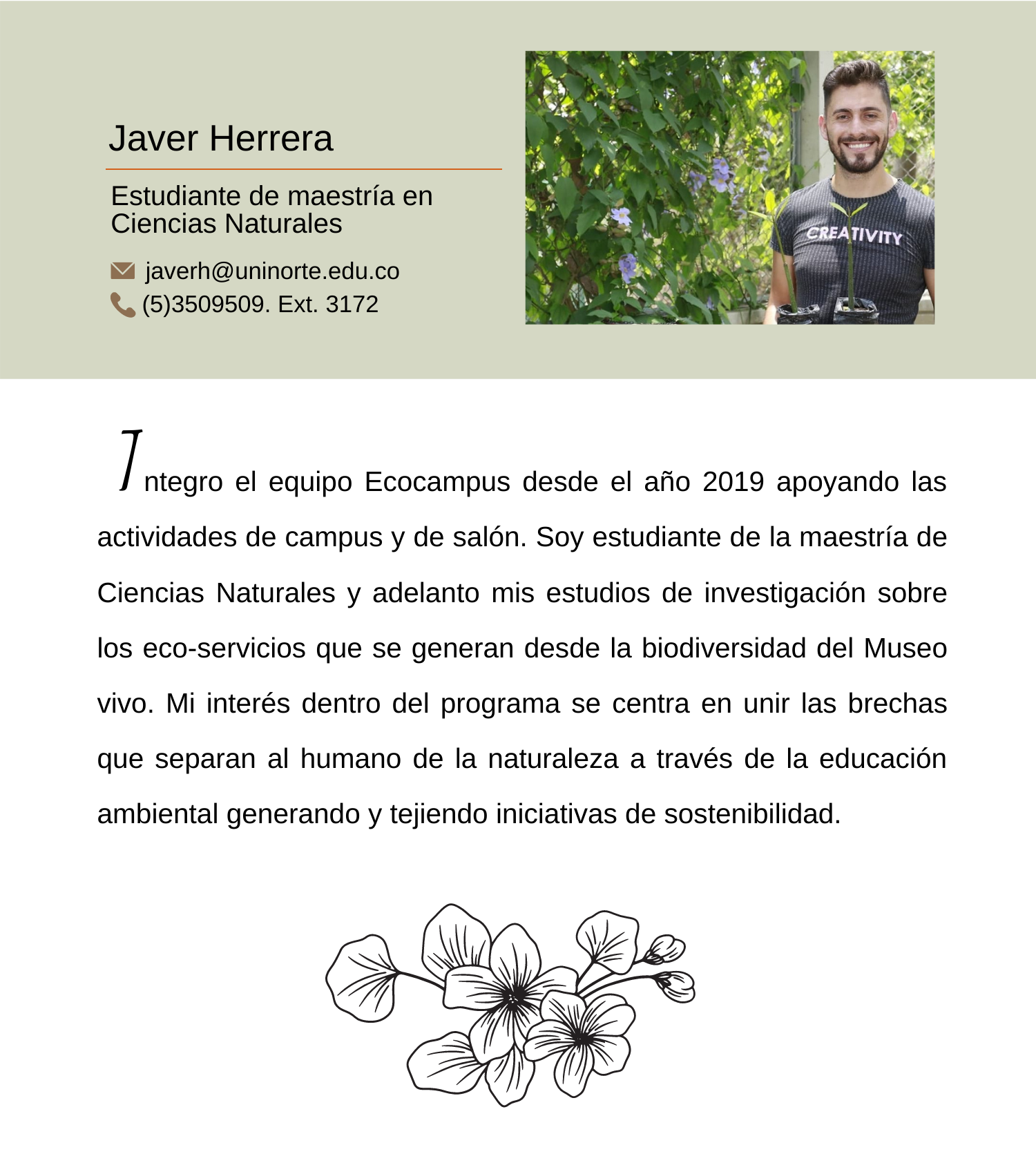 Responsive Image