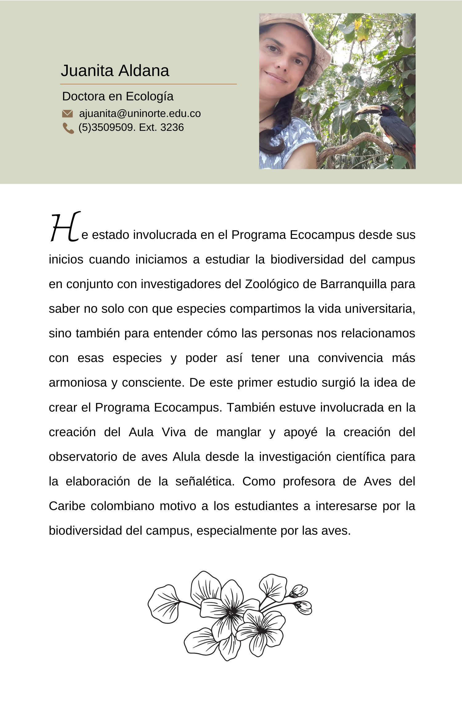 Responsive Image