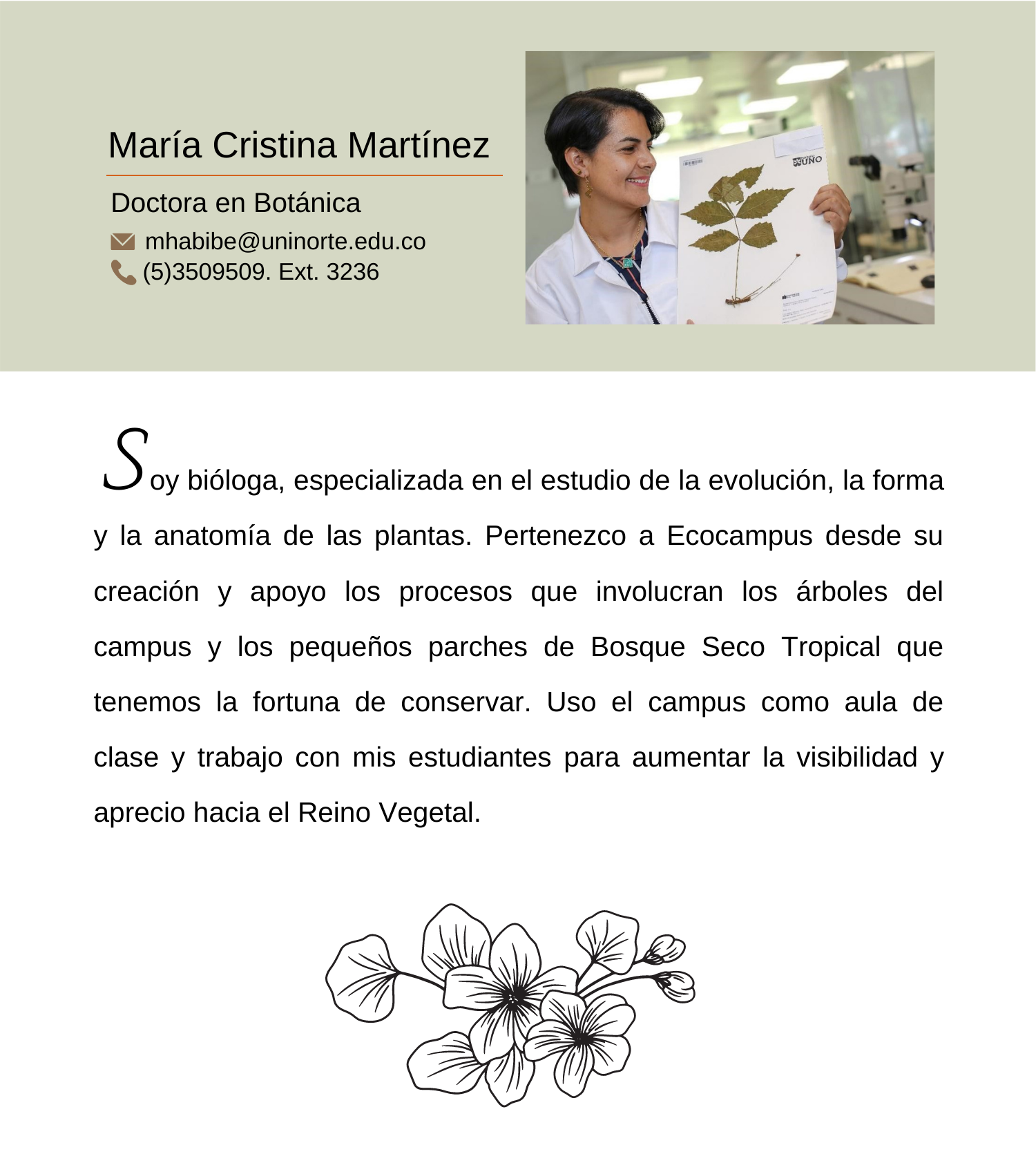 Responsive Image