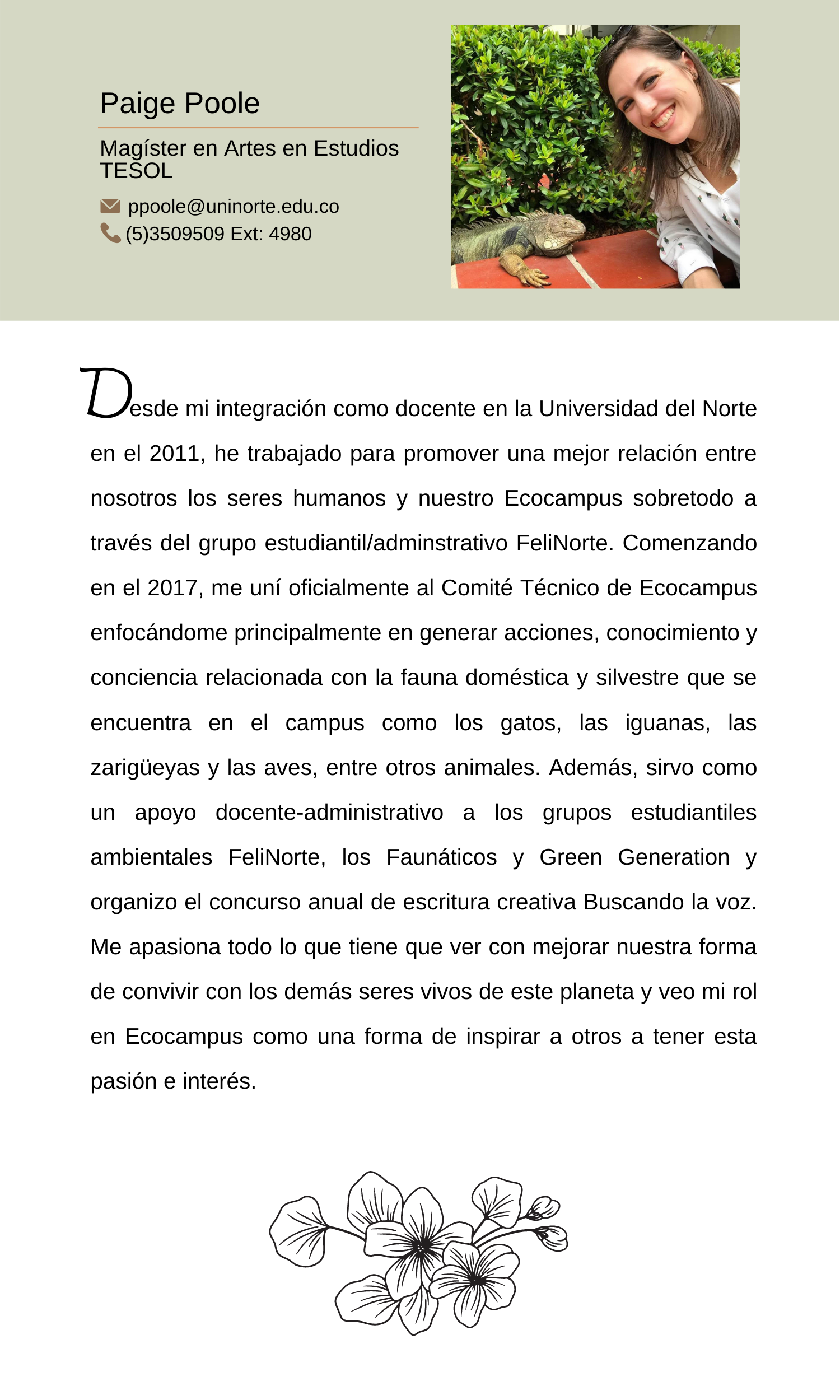 Responsive Image