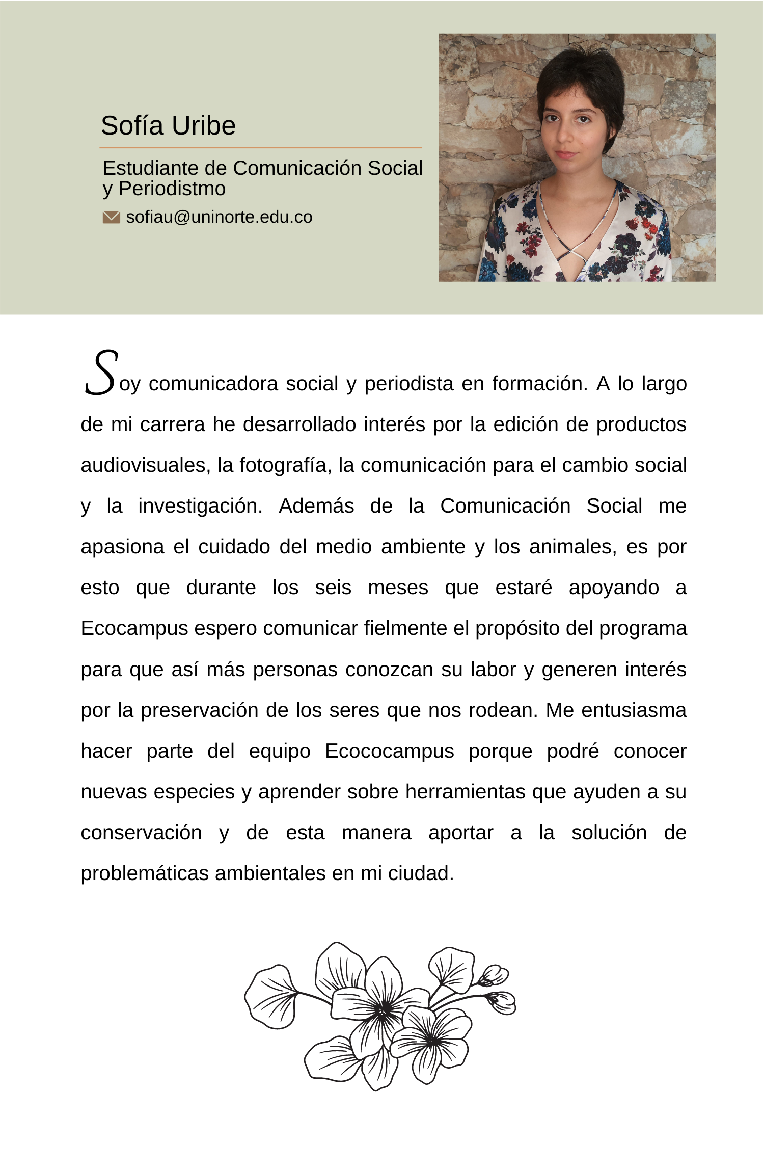 Responsive Image