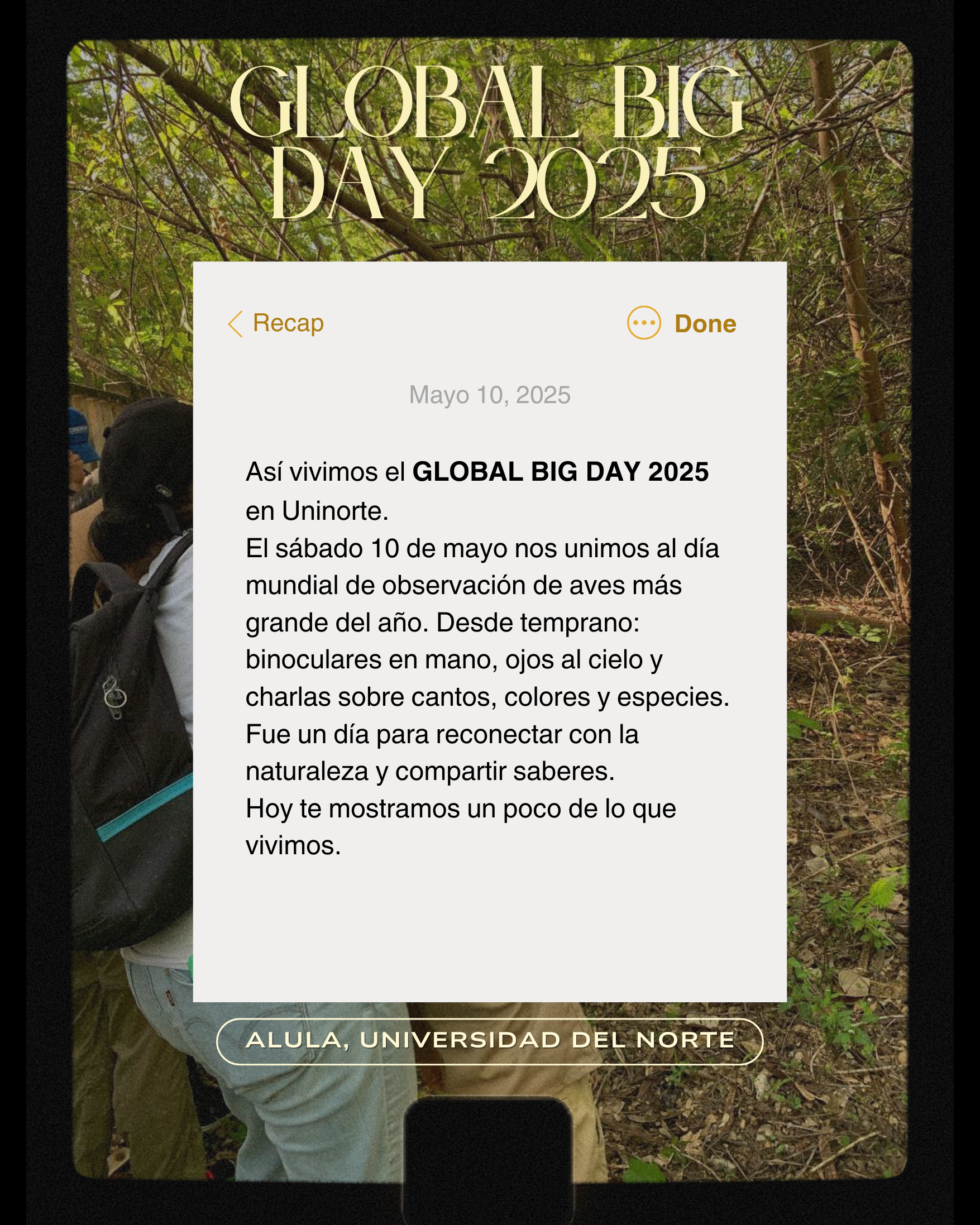 Responsive Image