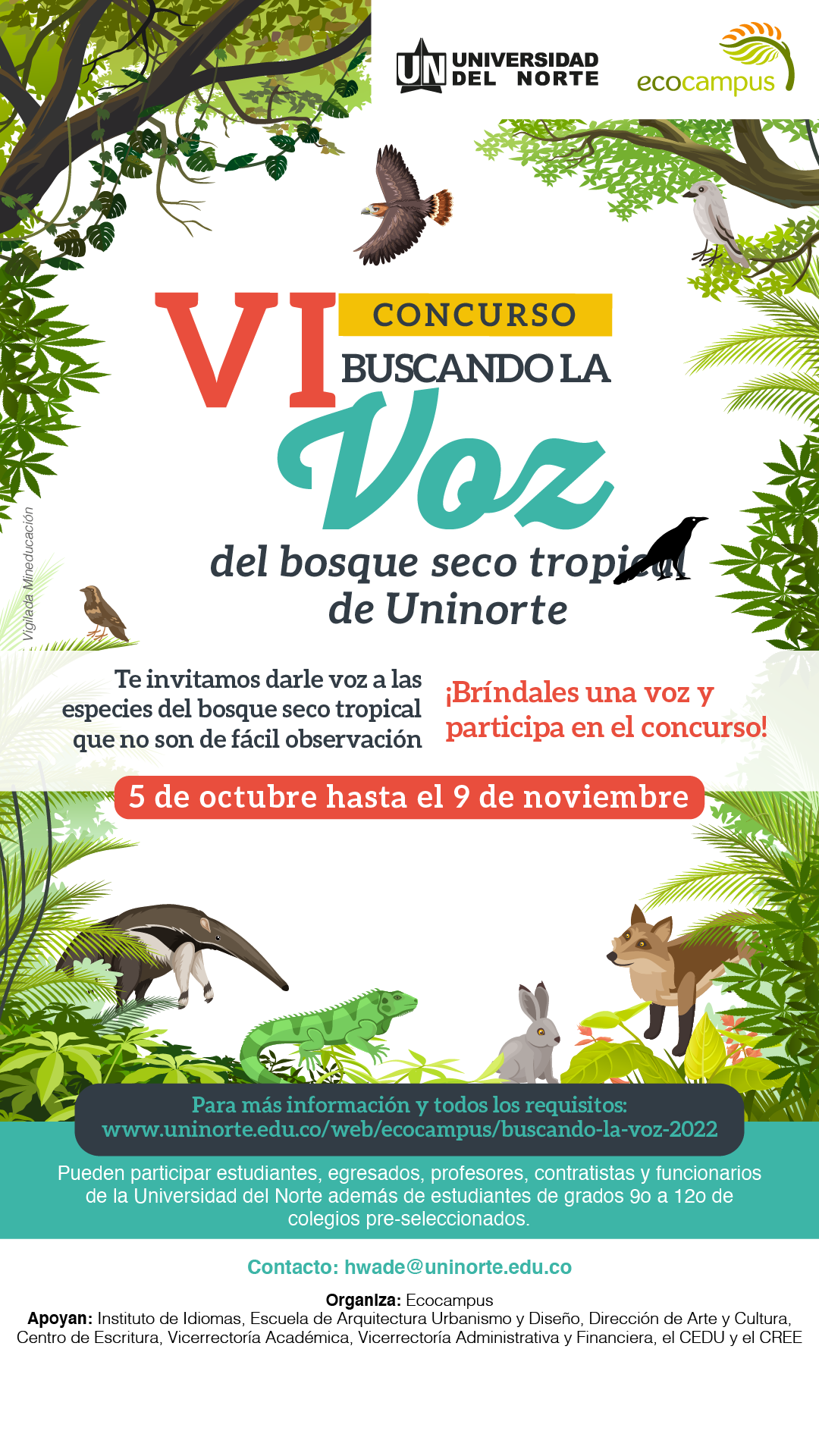 Banner buscando la voz 2022