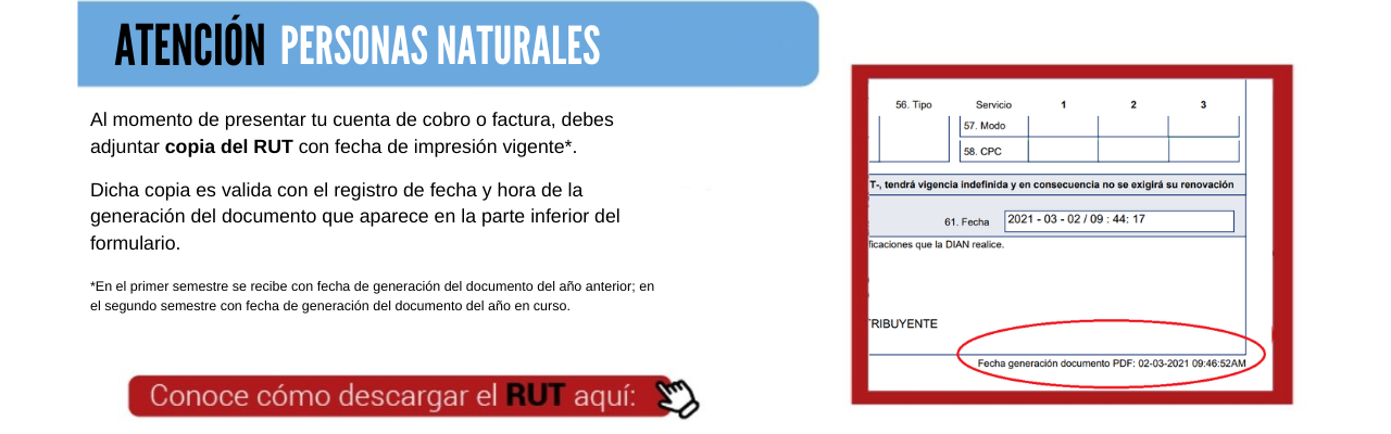 Cuarta Responsive Image