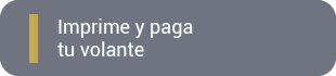 Imprime y paga tu volante
