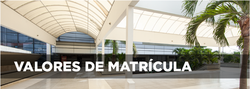 Valores de matricula