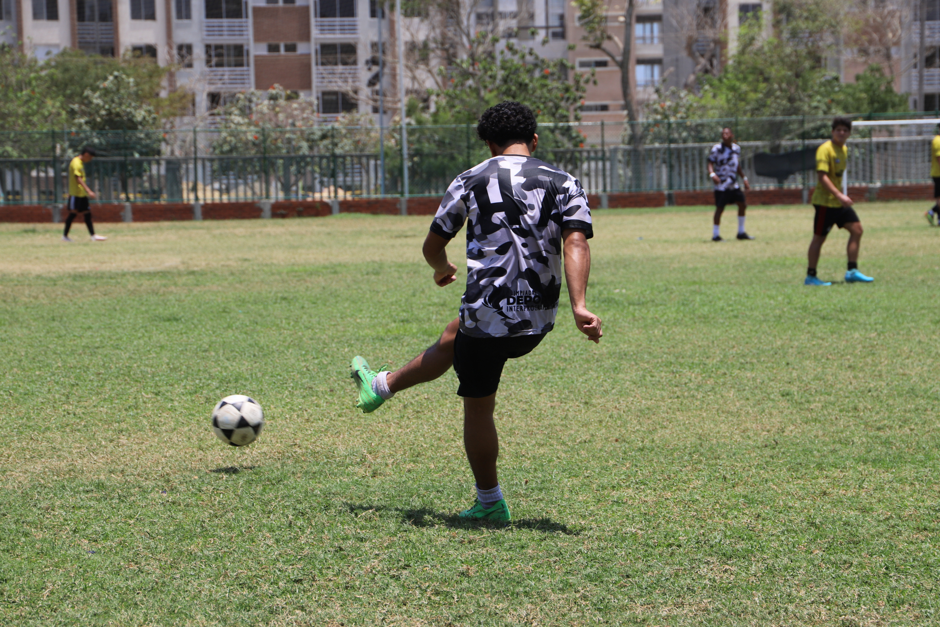 Segunda Responsive Image