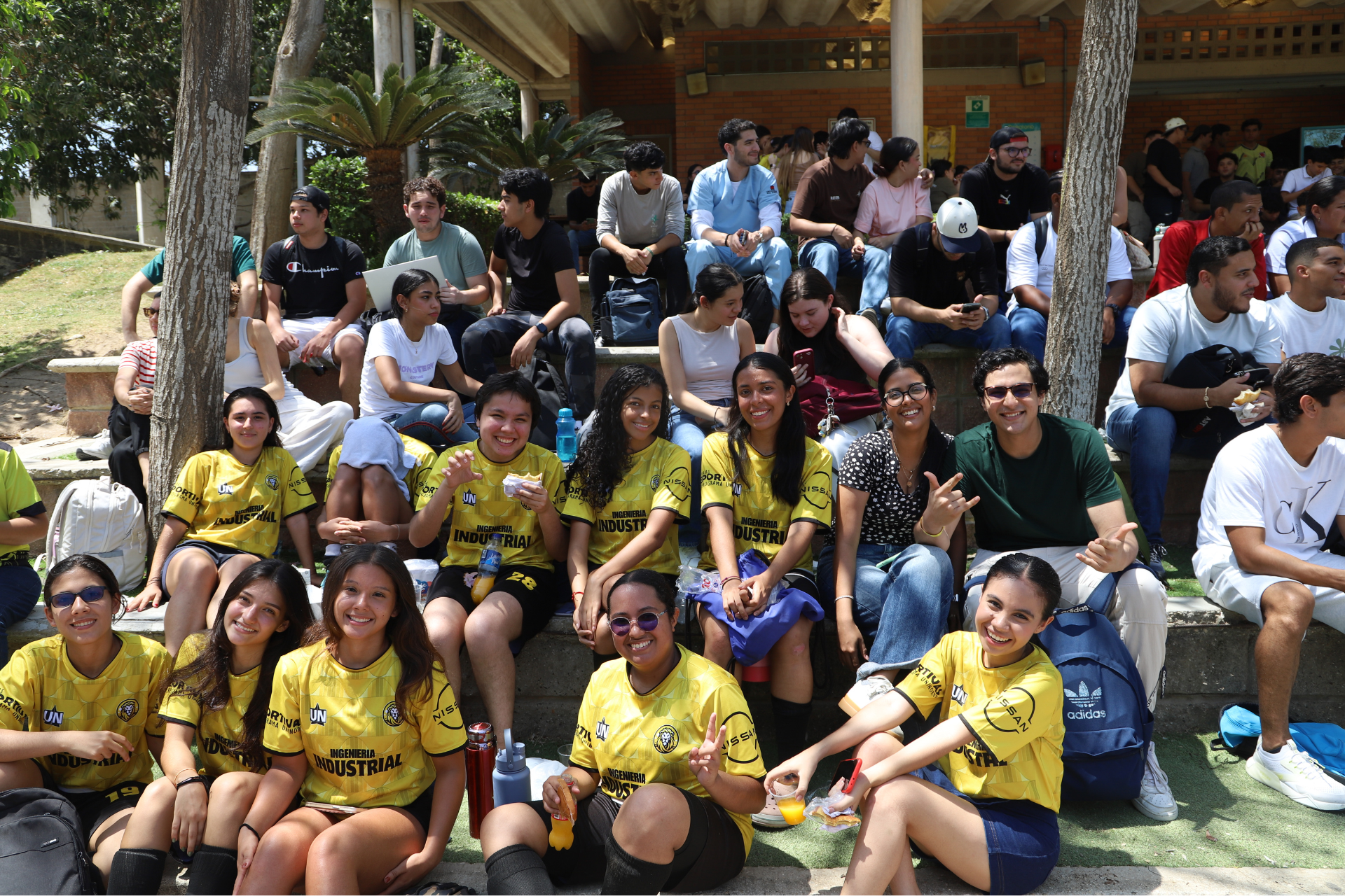 Tercera Responsive Image