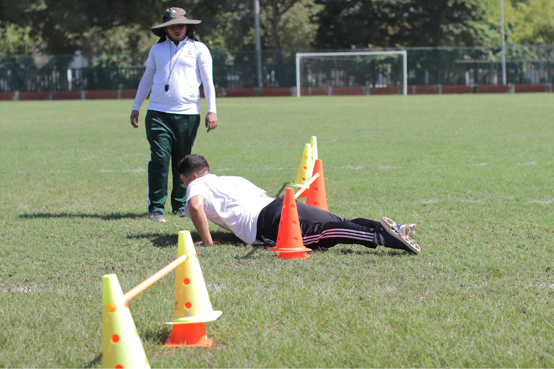 Cuarta Responsive Image