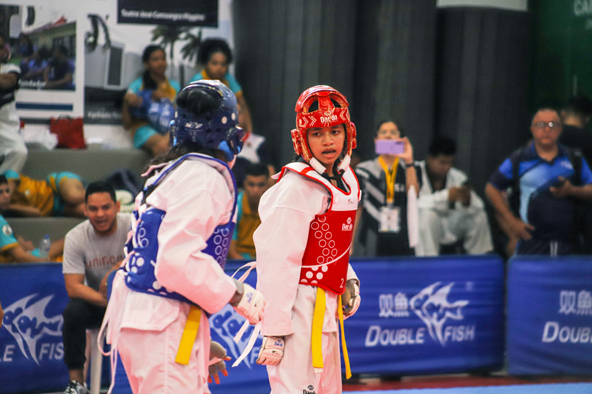 Cuarta Responsive Image