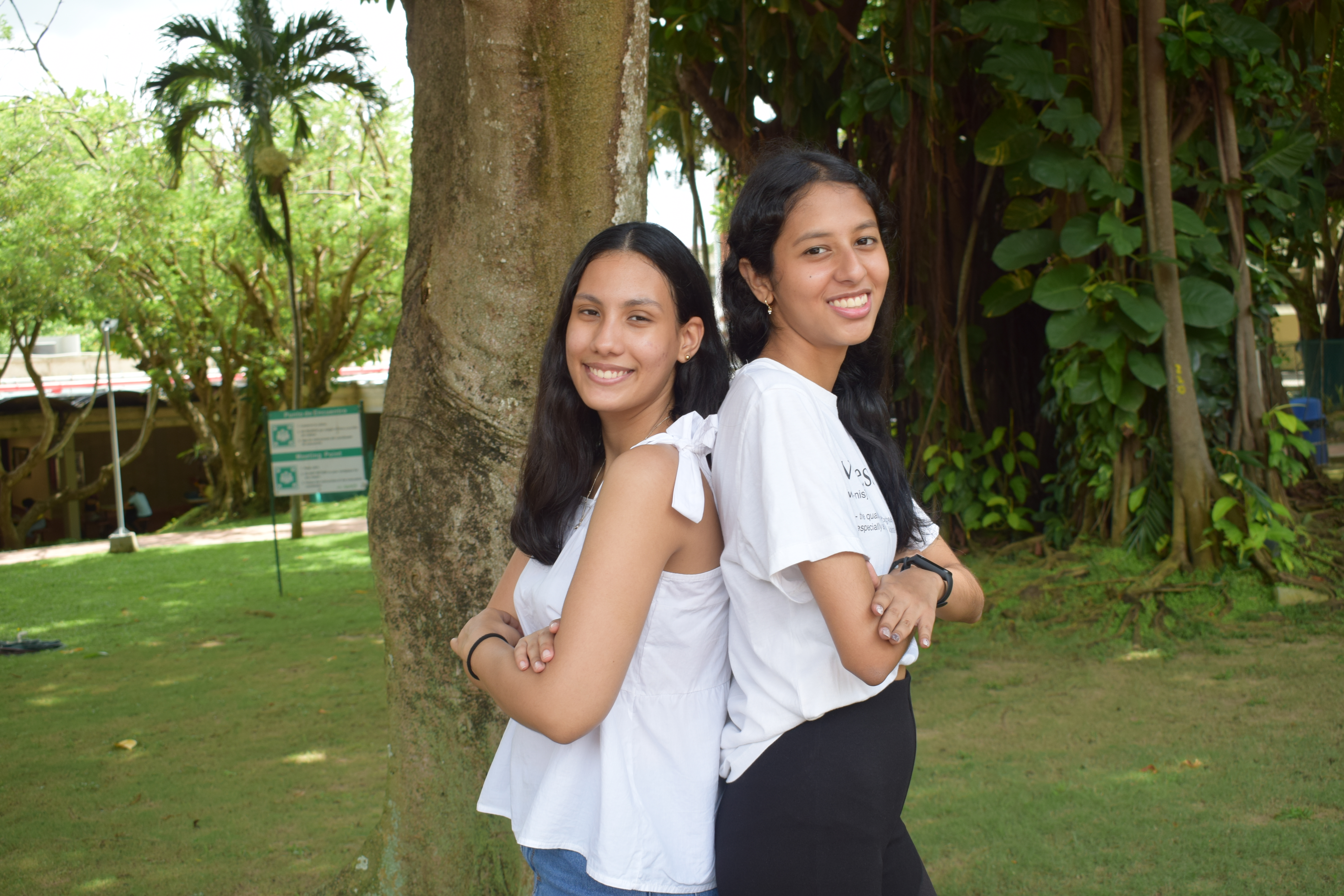 Third Responsive Image
