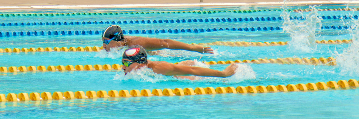 Natación Roble Amarillo