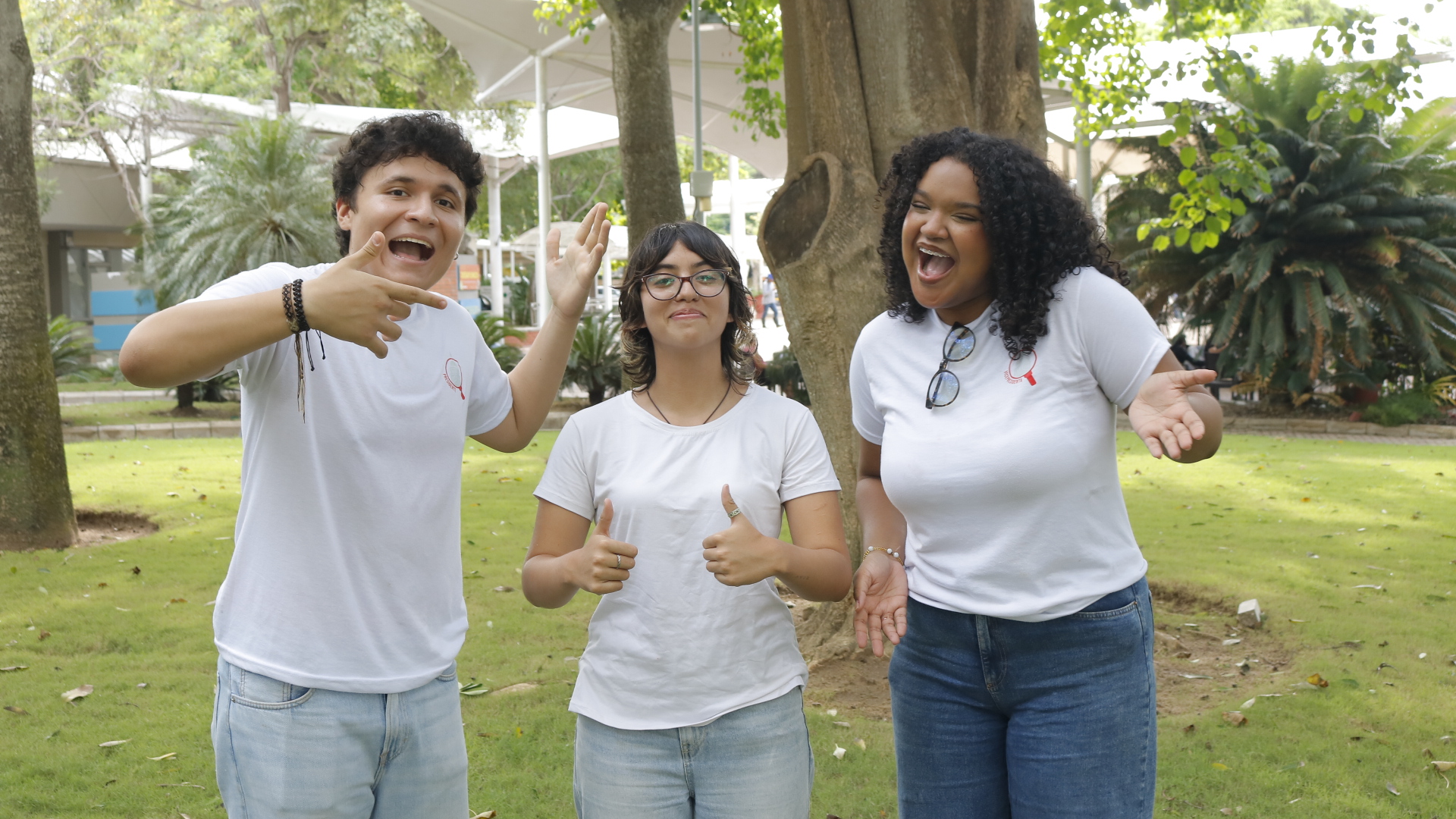quinta Responsive Image
