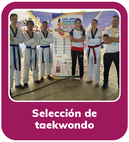 seleccion taekwondo