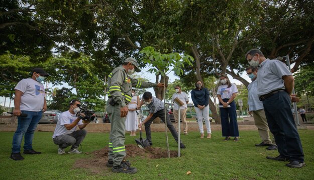 Unidos-siembra-de-árbol-2021.jpg