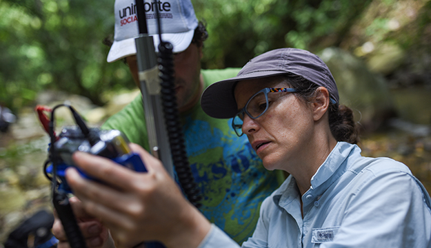 Investigacion-Sierra-Nevada.jpg