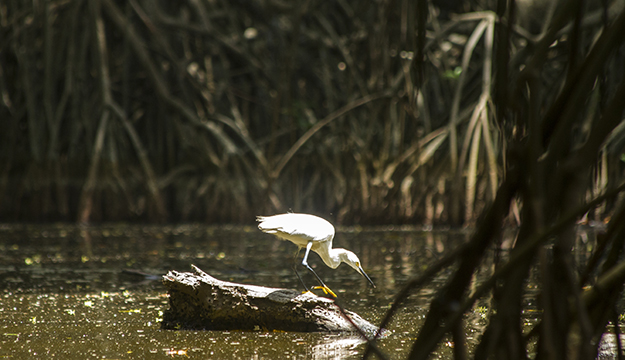 Parque-Salamanca-02.jpg