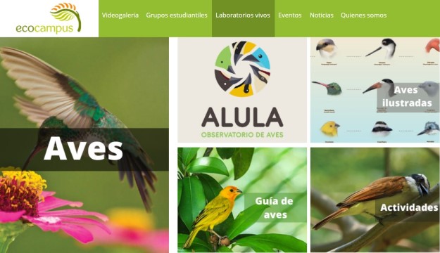 alulaweb.jpg