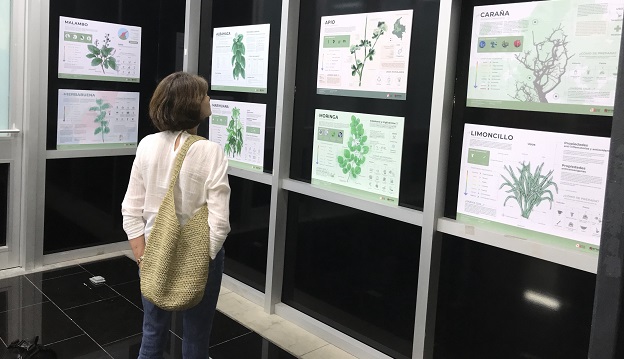 Exposición en Mapuka de plantas medicinales