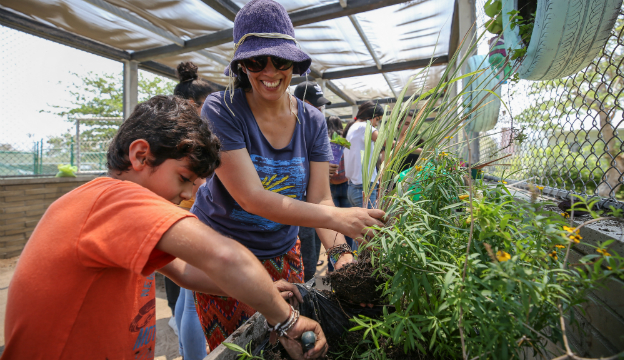 Siembra-plantas-medicinales.jpg