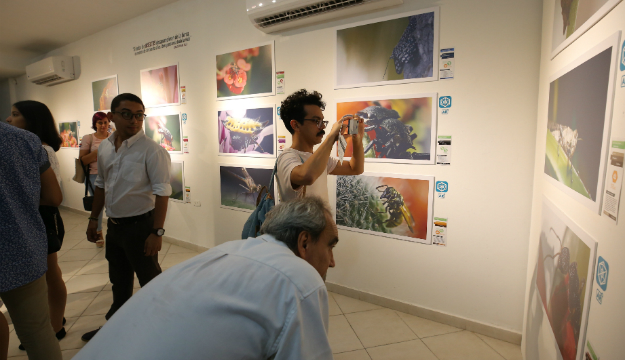 Exposición-Colosos-2019.jpeg
