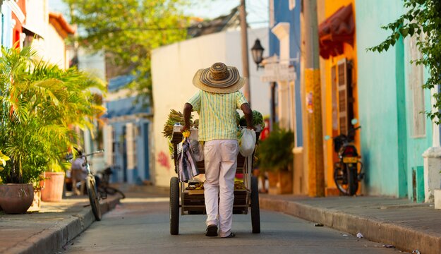 cátedra economia caribe 2022