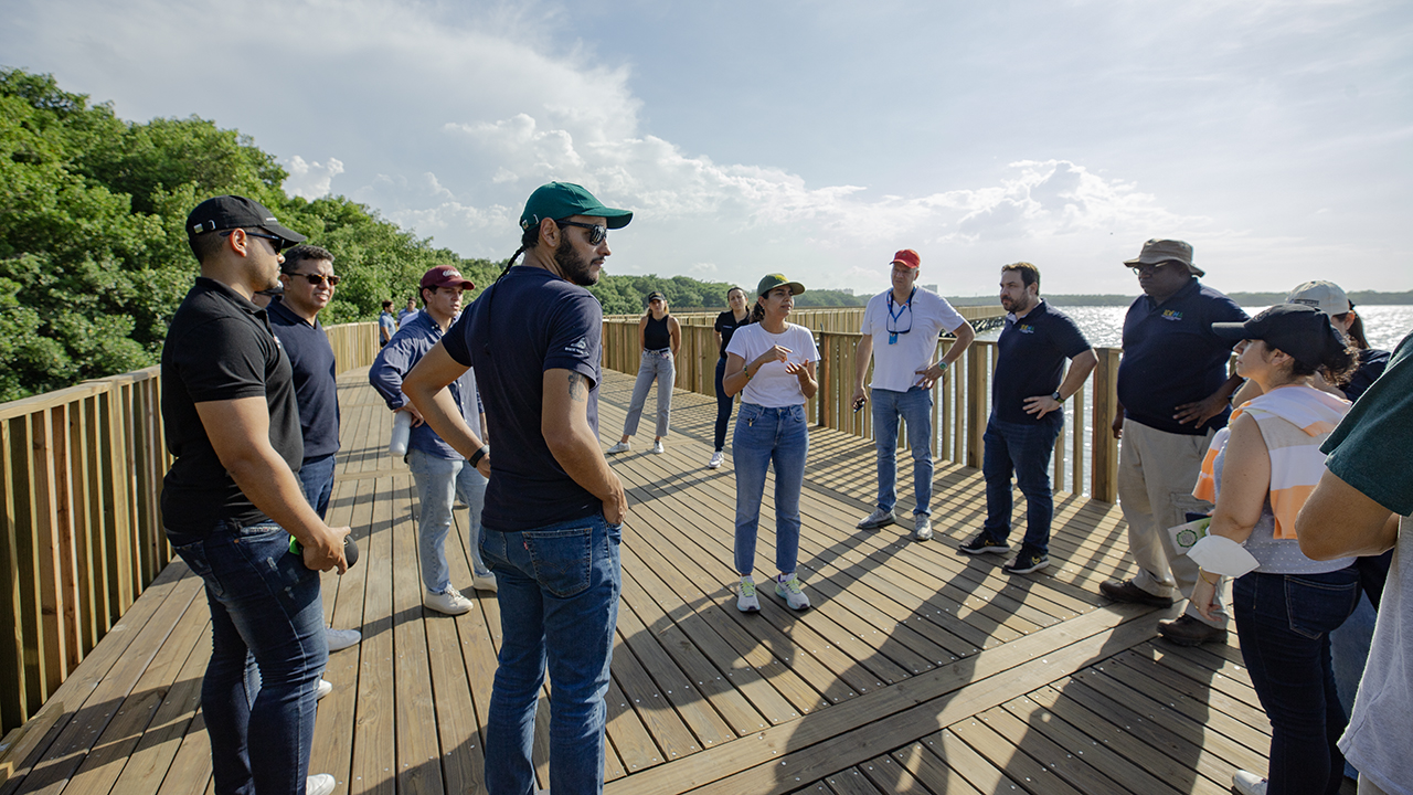 Cienaga Mallorquin visita profesores 01.jpg