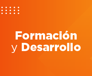 Formación y desarrollo