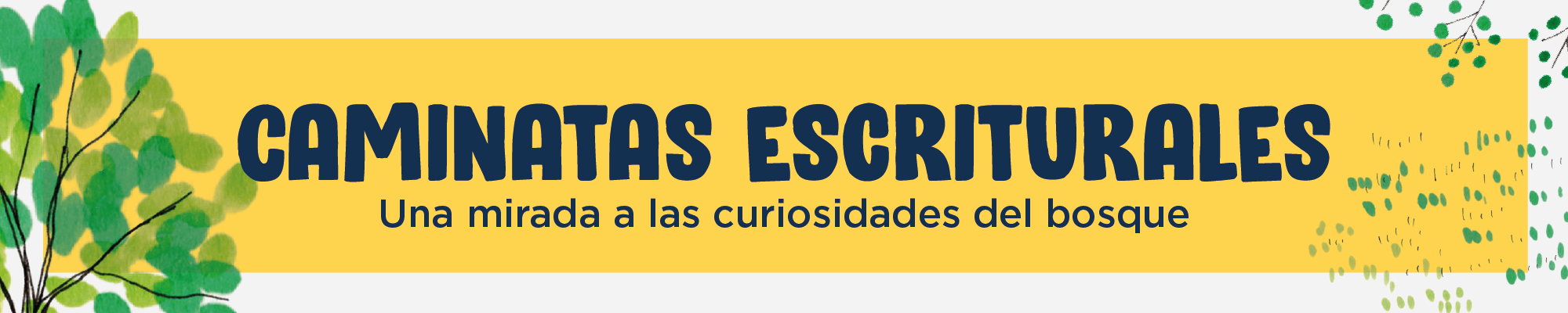 Caminatas escriturales, una mirada a las curiosidades del bosque