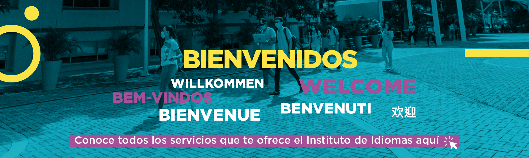 Banner Bienvenidos