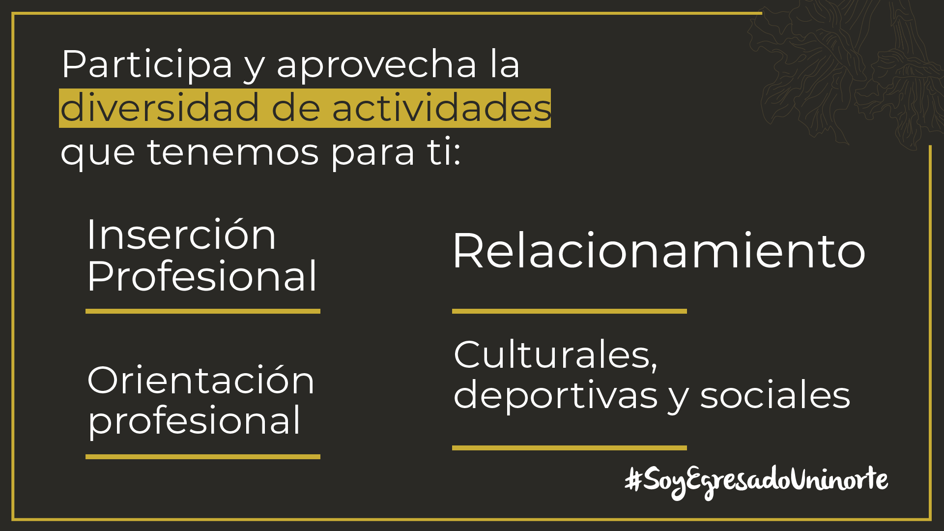 Tercera Responsive Image