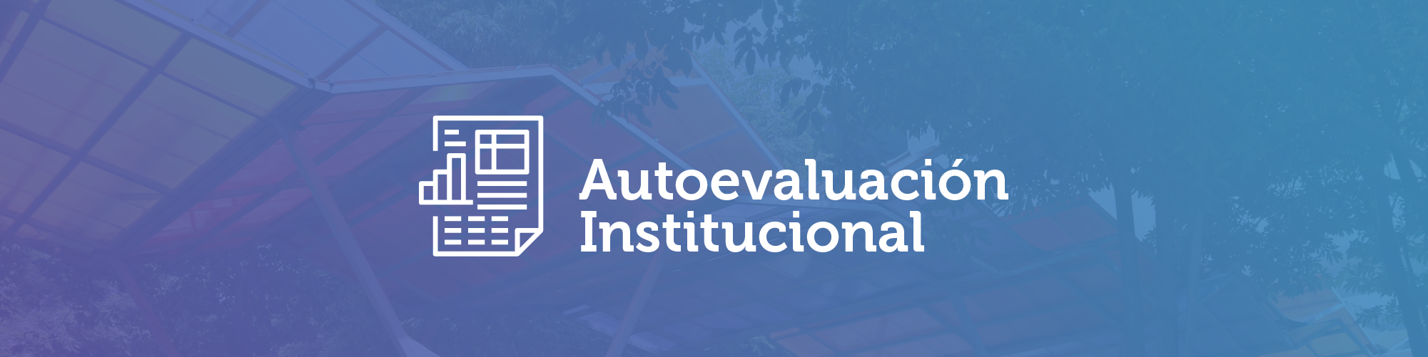 Autoevaluación institucional