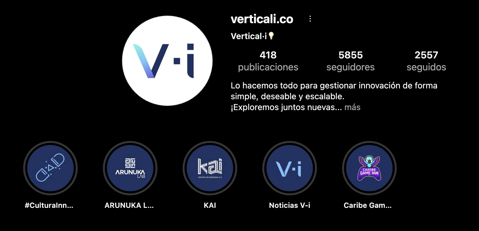 Vertical-i Instagram