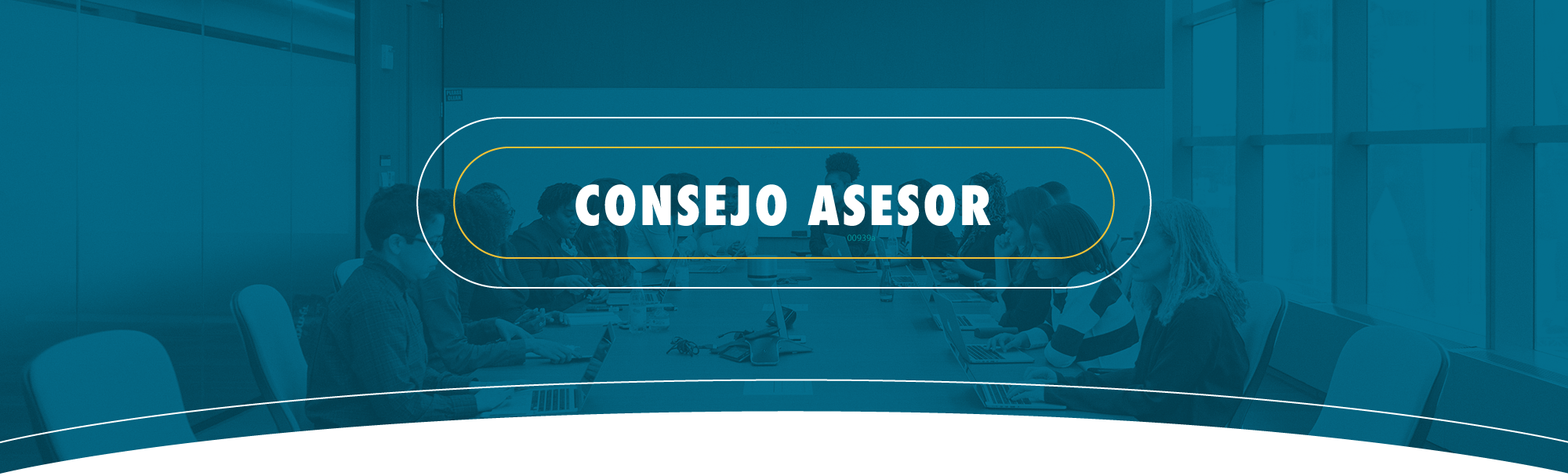 Consejo asesor