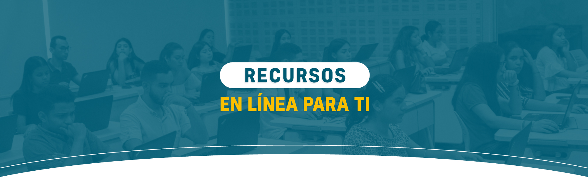 RECURSOS EN LINEA
