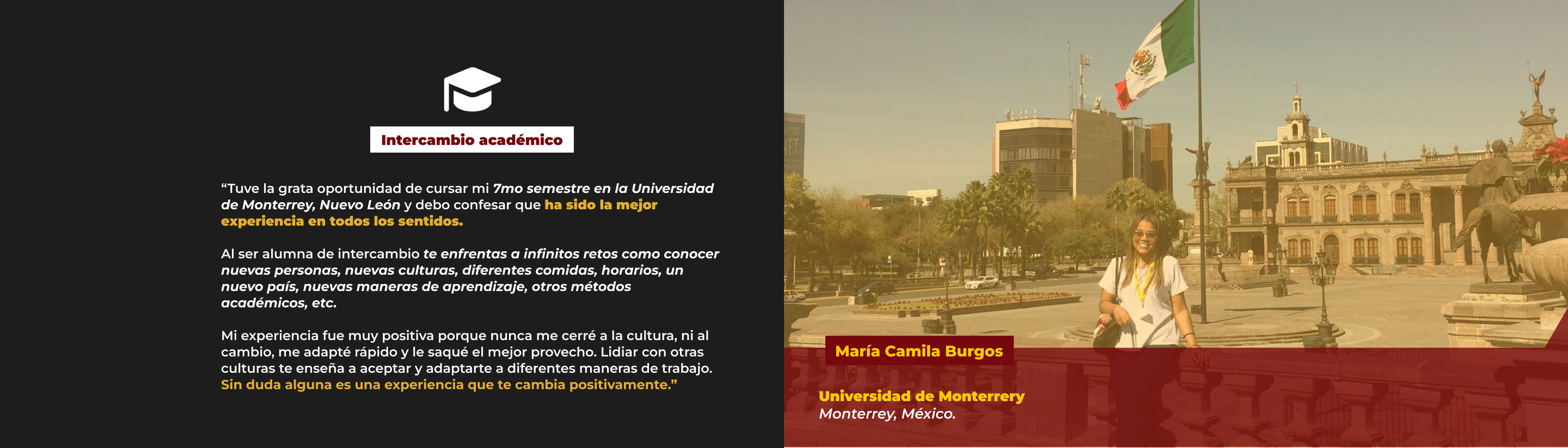 Segunda Responsive Image