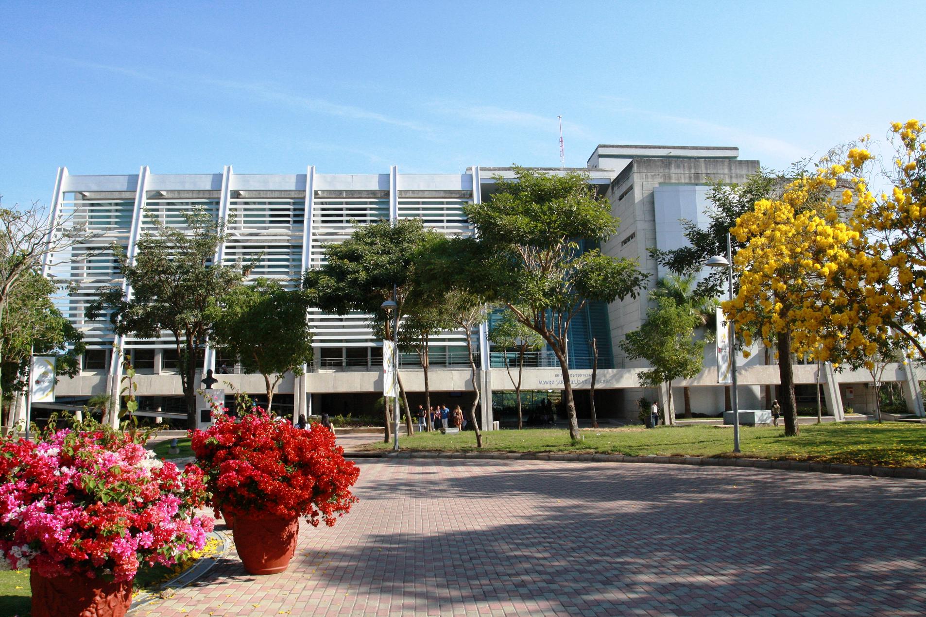 universidad del norte banner Verano para todos
