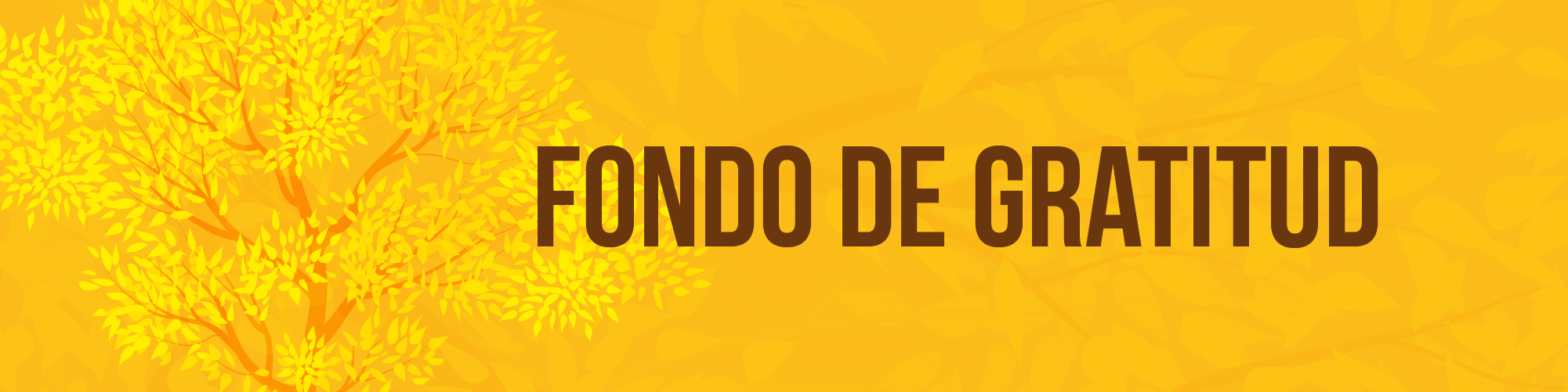 First Responsive Image