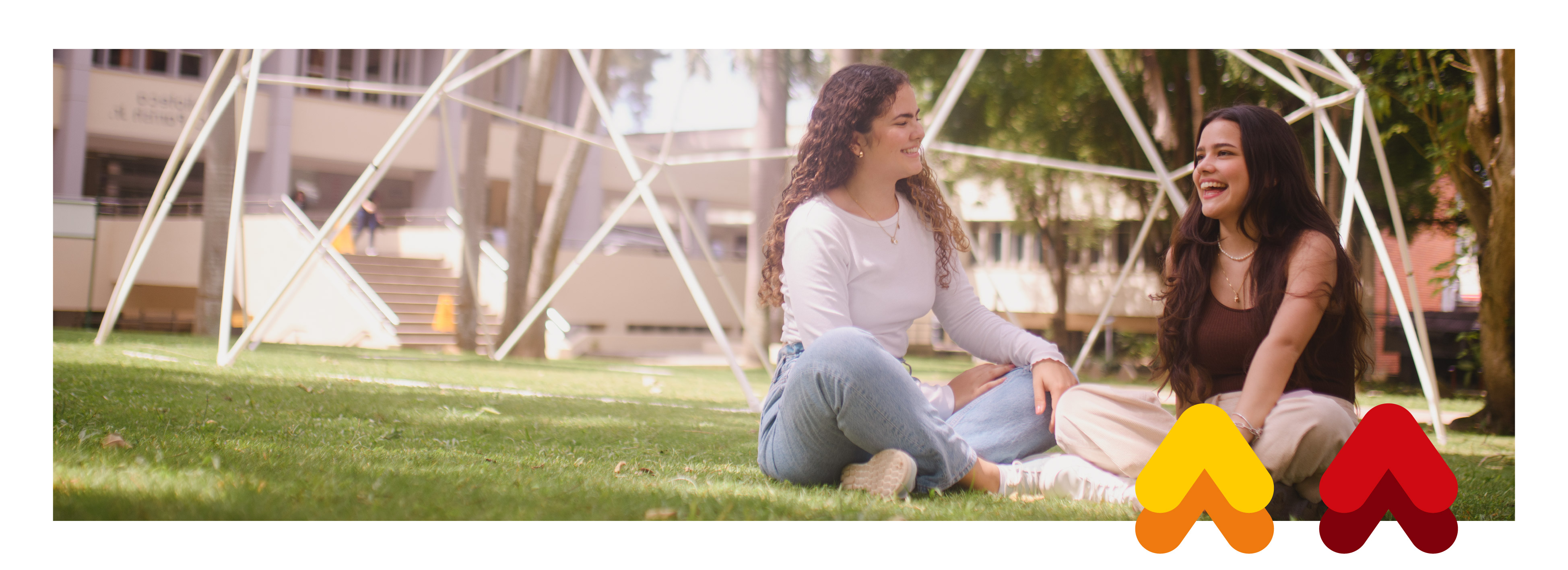 imagen-estudiantes-en-zona-biblioteca.jpg