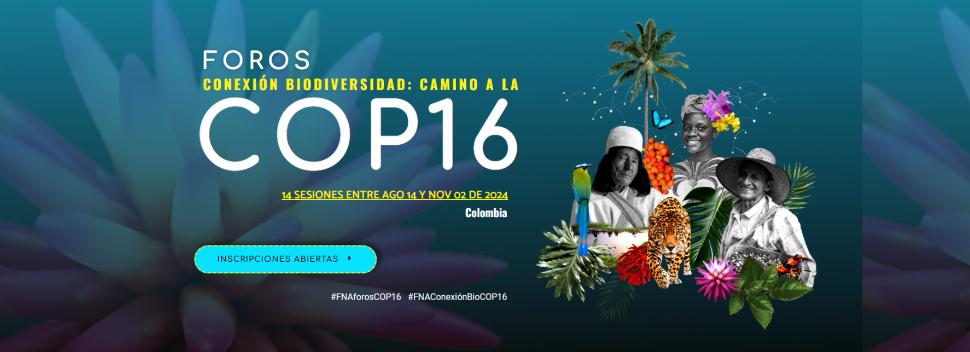 Portal de eventos - 2024-07-17T153046.256.png