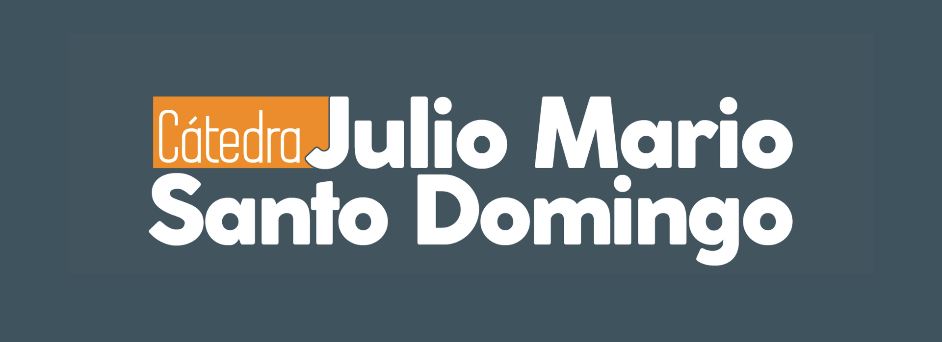 catedra-julio-mario-santodomingo-2.png