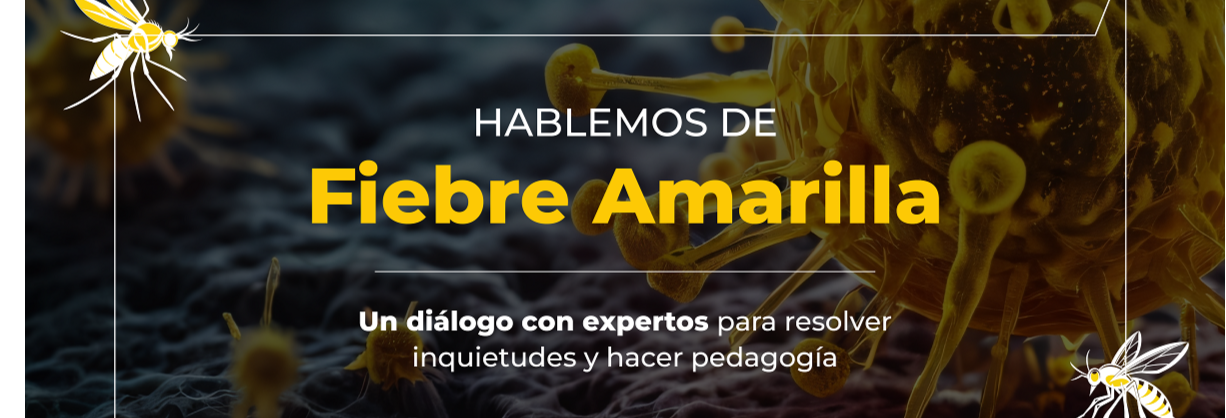 hablemos-de-fiebre-amarilla.png