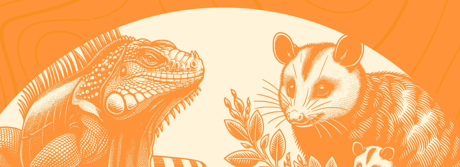 taller-fauna-silvestre-estudiantes-2.png