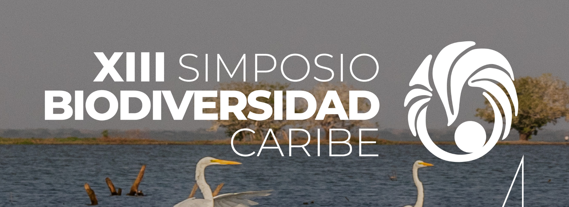 simposio-biodiversidad-2.png