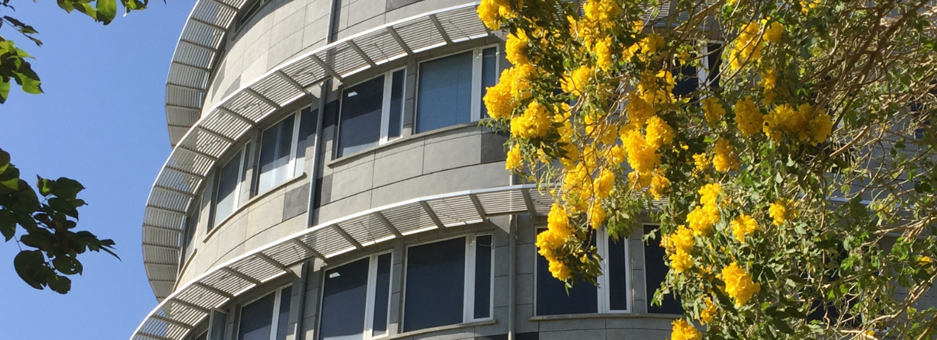 banner-cmu.png