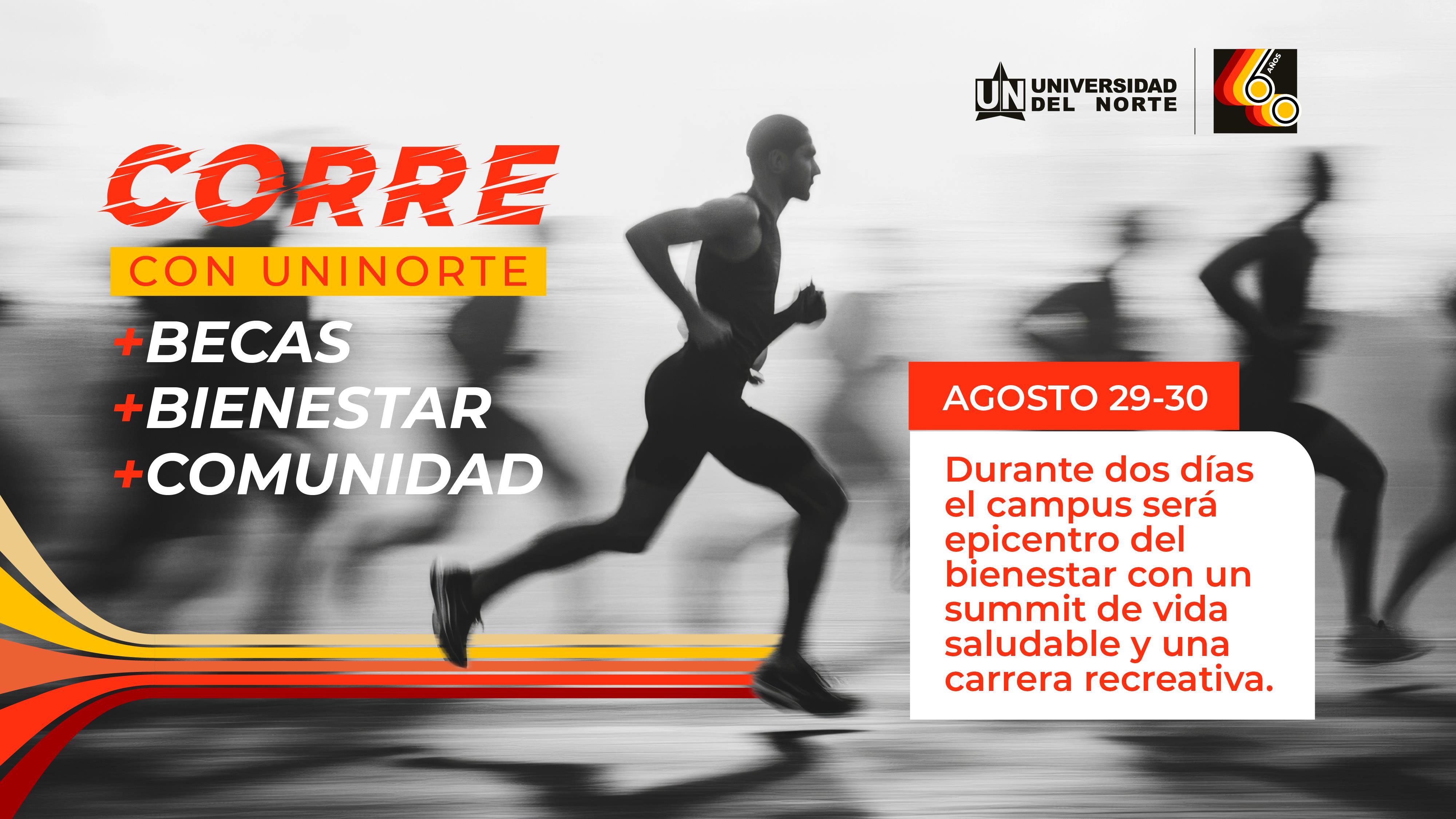 Cuarta Responsive Image