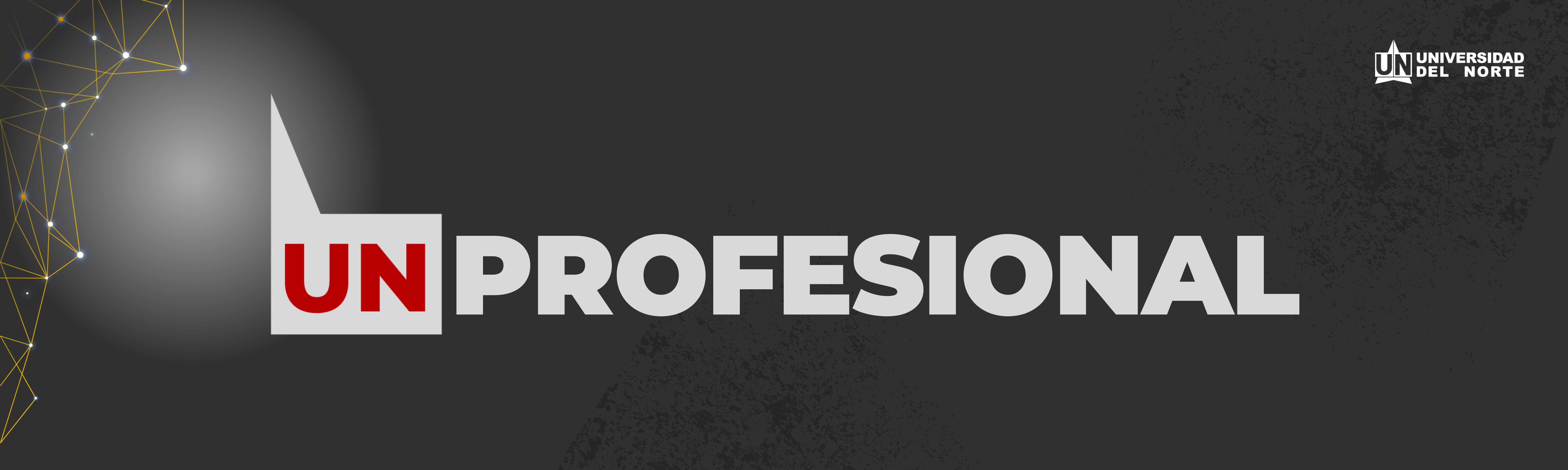 general- UN PROFESIONAL 5 EDICIÓN_02.png